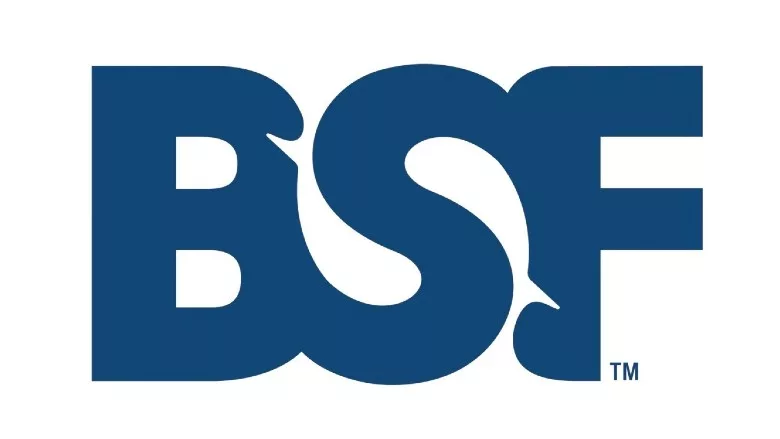 BSF logo