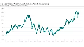 Fed steer prices February 2026