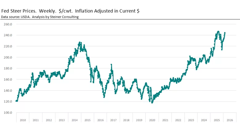 Fed steer prices February 2026