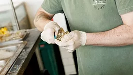 Taylor-owned Raw Bar shucking