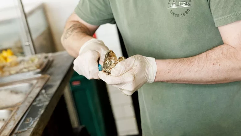 Taylor-owned Raw Bar shucking