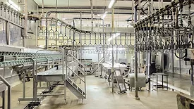 Meat plant