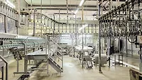 Meat plant Meat plant
