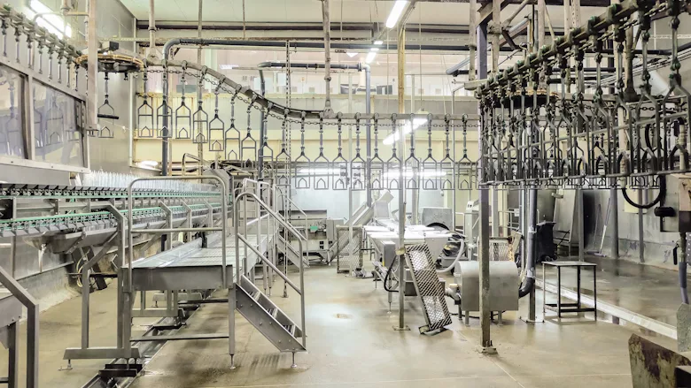 Meat plant