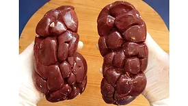 Beef kidneys