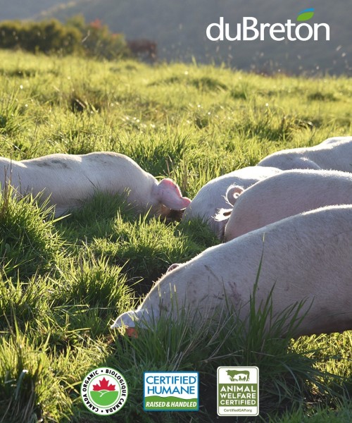 duBreton