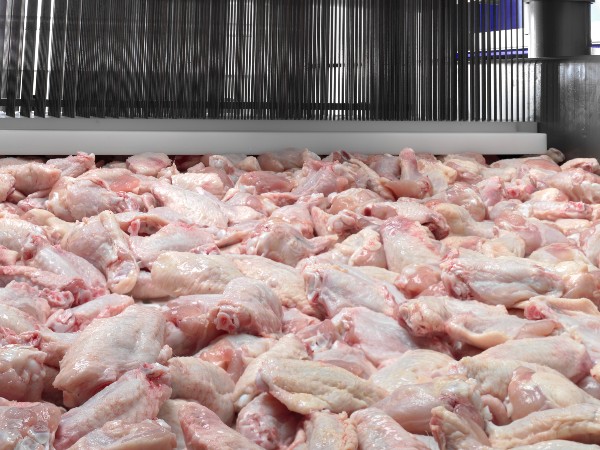 GEA MultiJector 500 with chicken wings