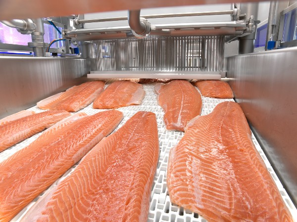 GEA MultiJector 500 with salmon