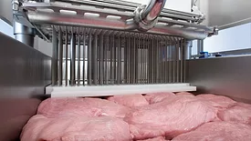 GEA MultiJector 500 with pork