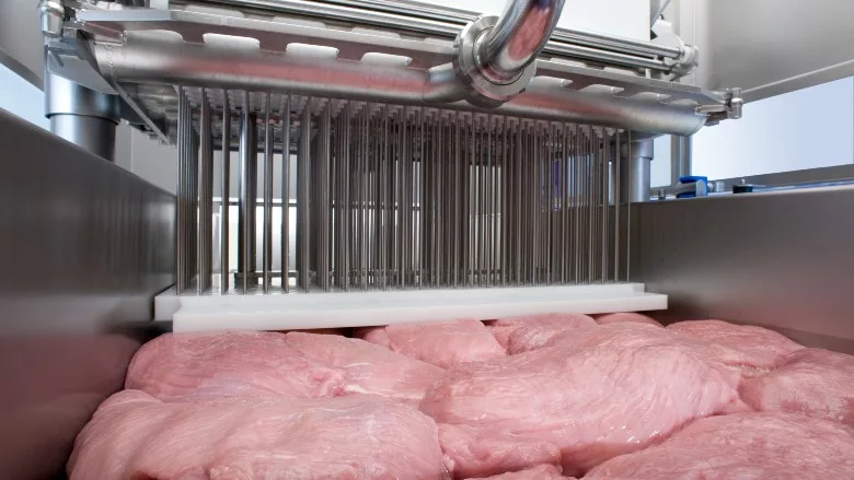 GEA MultiJector 500 with pork