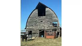 Small Batch Farms