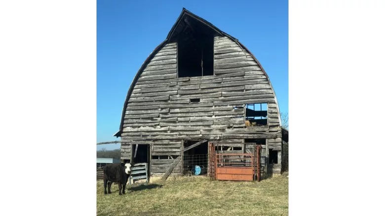 Small Batch Farms
