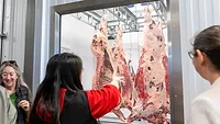 Participants in the April 10, 2026, dedication ceremony of University of Idaho’s new Meat Science and Innovation Center Honoring Ron Richard look through a window at hanging beef carcasses.