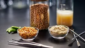 ADM plant-based protein products