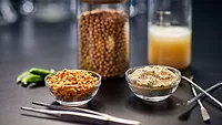 ADM plant-based protein products