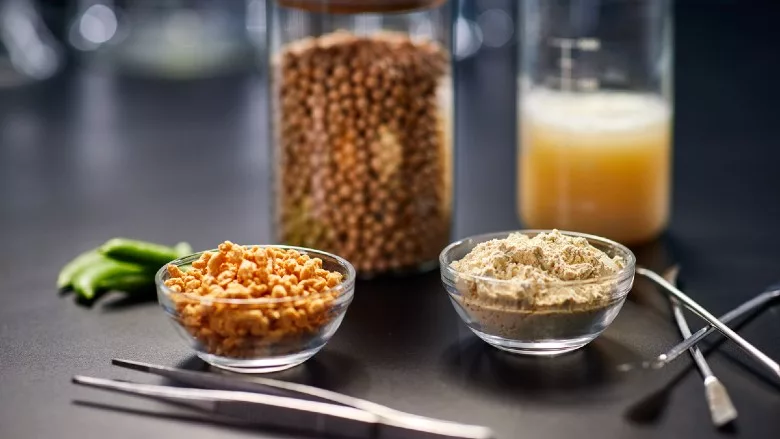 ADM plant-based protein products