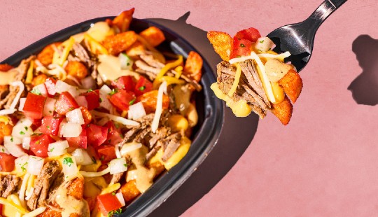 Shredded Beef Nacho Fries