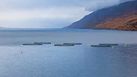 Fish farming pens used in marine aquaculture operations Fish farming pens used in marine aquaculture operations