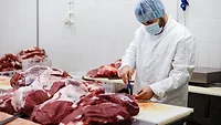 Professional butcher working at raw meat processing plant