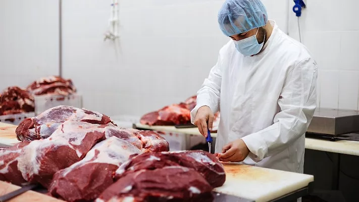 Professional butcher working at raw meat processing plant