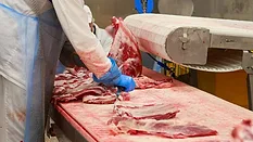Worker with knife in deboning hall