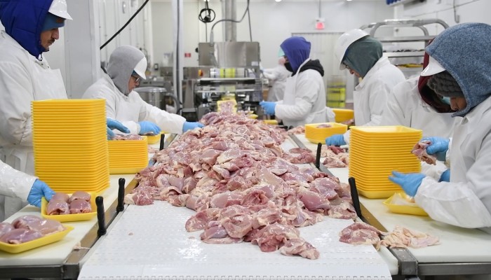 Ossid chicken processing