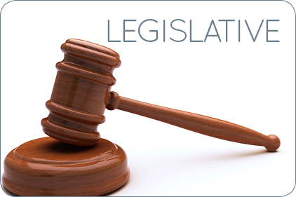 Legislative Logo Feature