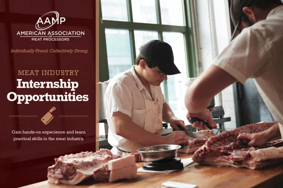AAMP Internship Program