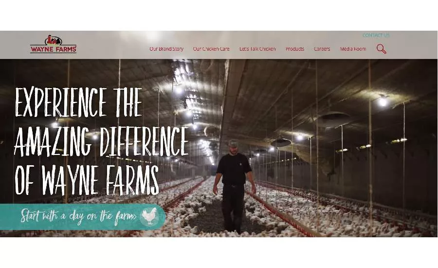 Wayne Farms website