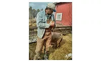 Niman Ranch hog farmer of the year