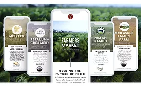 Chipotle ecommerce