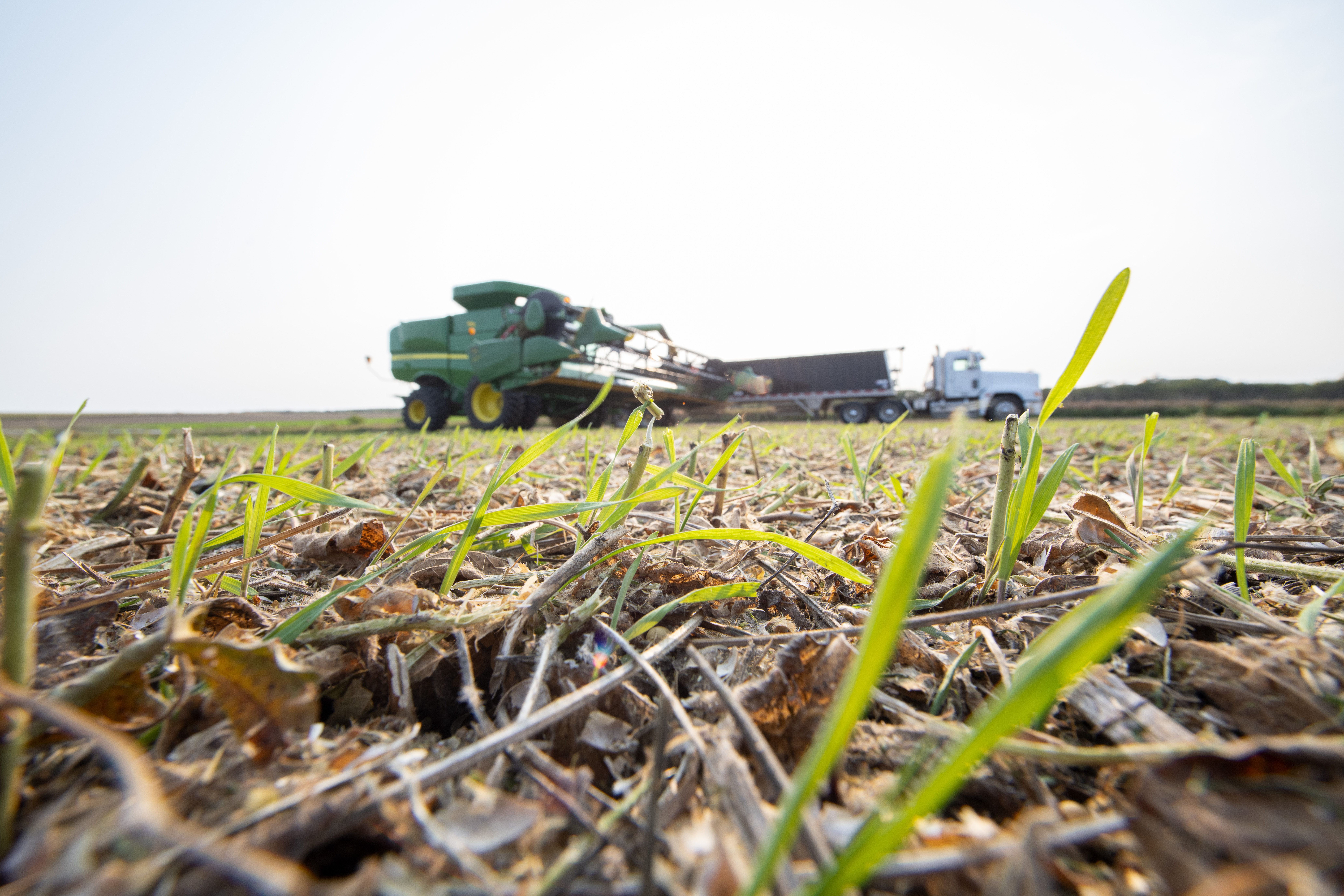 Cargill regenerative agriculture