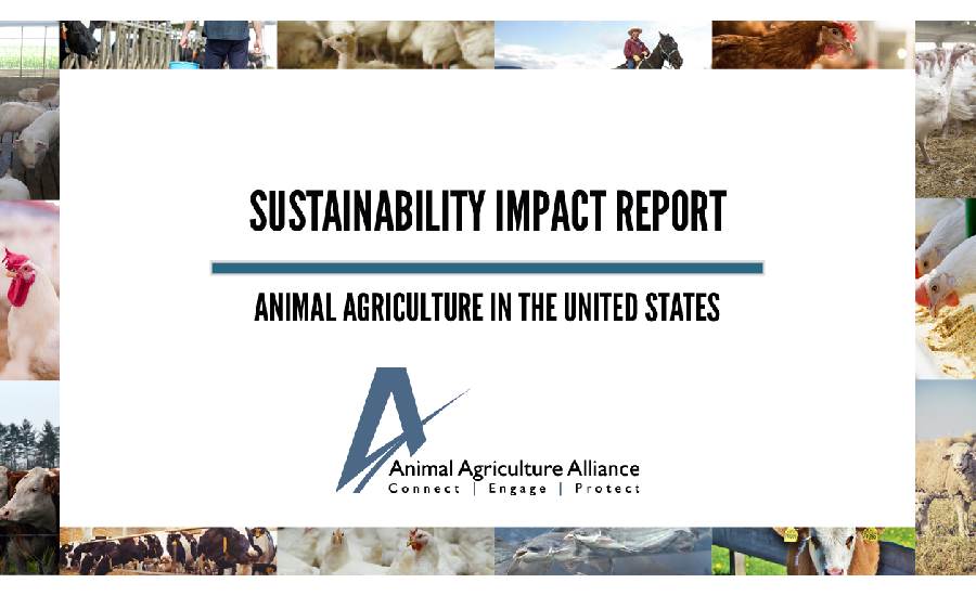 AAA Sustainability impact