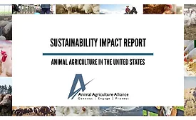AAA Sustainability impact