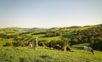 Beef + Namb New Zealand sustainability