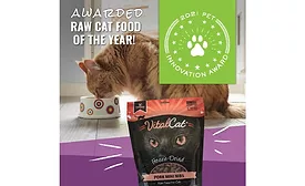 Carnivore Meat Vital Cat pork nibs