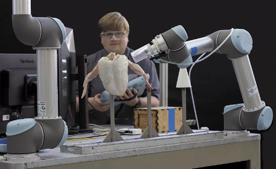 GTRI Fellow