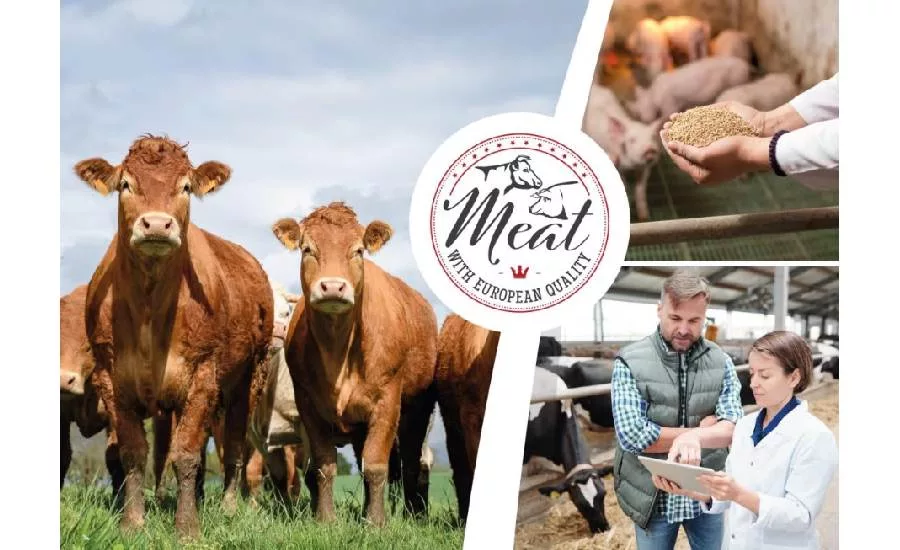 UPEMI antibiotic-free beef