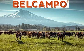 Belcampo regenerative ag