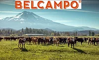 Belcampo regenerative ag Belcampo regenerative ag
