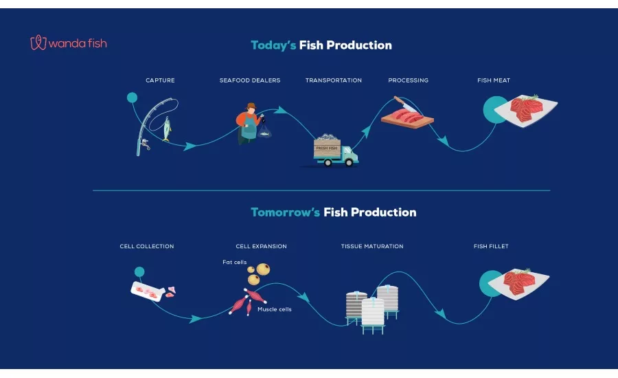 Wanda Fish Technologies collaborates with Tufts University