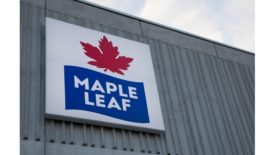 Maple Leaf Foods logo
