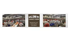 Salumi 101