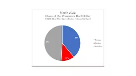 Meat Institute to House Ag: 'More to beef & cattle markets than packers and producers'