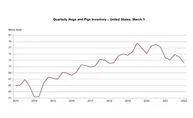 U.S. hog inventory down 2%, says Quarterly Hogs and Pigs report