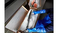 Cascades launches expansion plan in isothermal packaging market