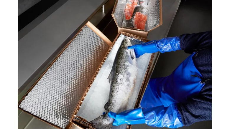 Cascades launches expansion plan in isothermal packaging market