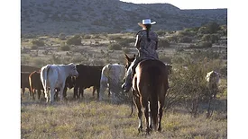 Burger King partners with NFWF, Cargill to help conserve, restore grasslands and wildlife species in Southern Great Plains