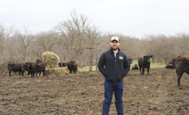 MU Extension state beef nutrition specialist Eric Bailey