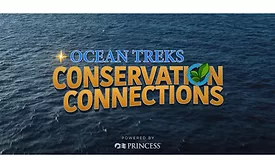 Princess Cruises docuseries focuses on Alaska Seafood sustainability